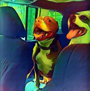 Meet your Posher, Jessie